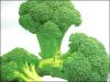 Broccoli Powder Extract  