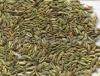 Fennel Powder Extract