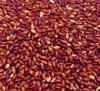 Red yeast rice Powder