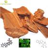 Yohimbe bark Extract powder