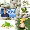 white Kidney Bean extract powder