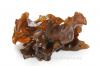 Auricularia Polytricha Extract