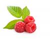 Raspberry Ketone