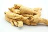 American Ginseng Powder Extract