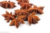 Anise Seed Powder Extract（Illicium verum Hook.f.）