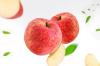 Apple Powder Extract