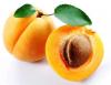 Apricot Powder Extract 