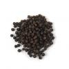 Black Pepper Powder Extract ( Piper nigrum)